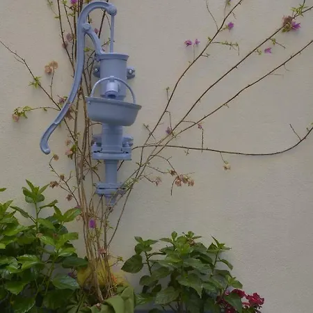 Guest house A Mi Manera *